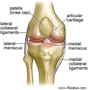 Lëndimet e gjurit – Ligamenteve kolaterale
